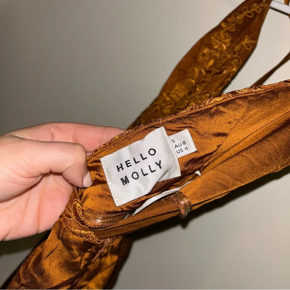 Hello Molly Rust Lace Bodice Maxi Dress - Picture 3 of 5